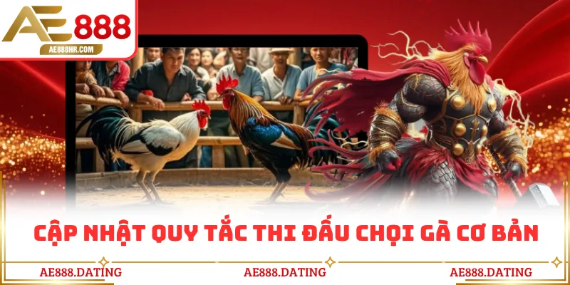 Cập nhật quy tắc thi đấu chọi gà cơ bản