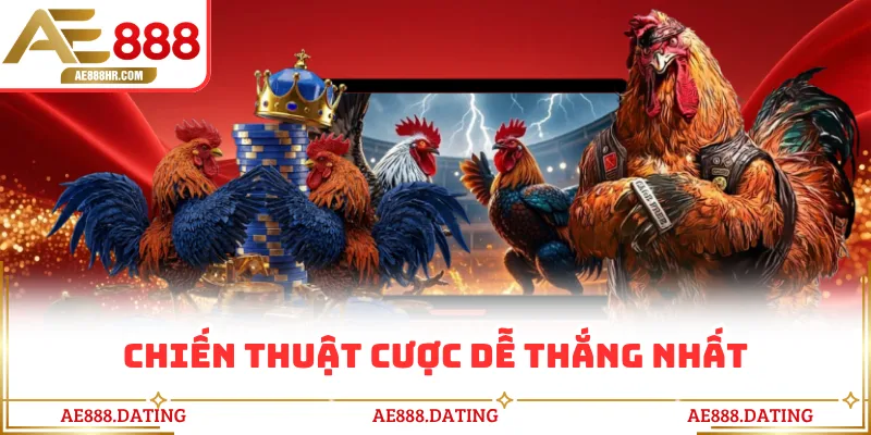Chiến thuật cược dễ thắng nhất
